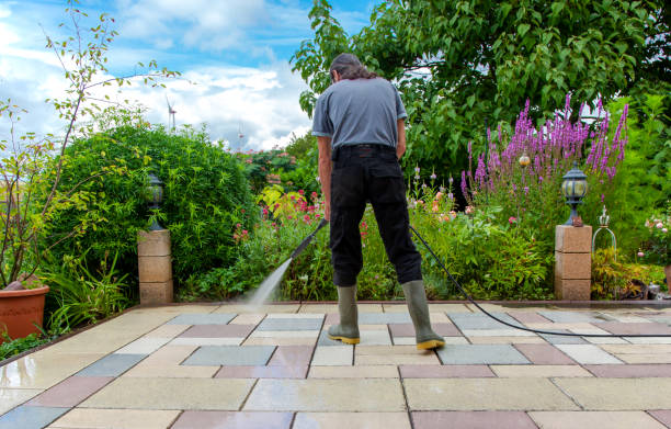 Best Sidewalk and Walkway Cleaning  in Lewiston, CA